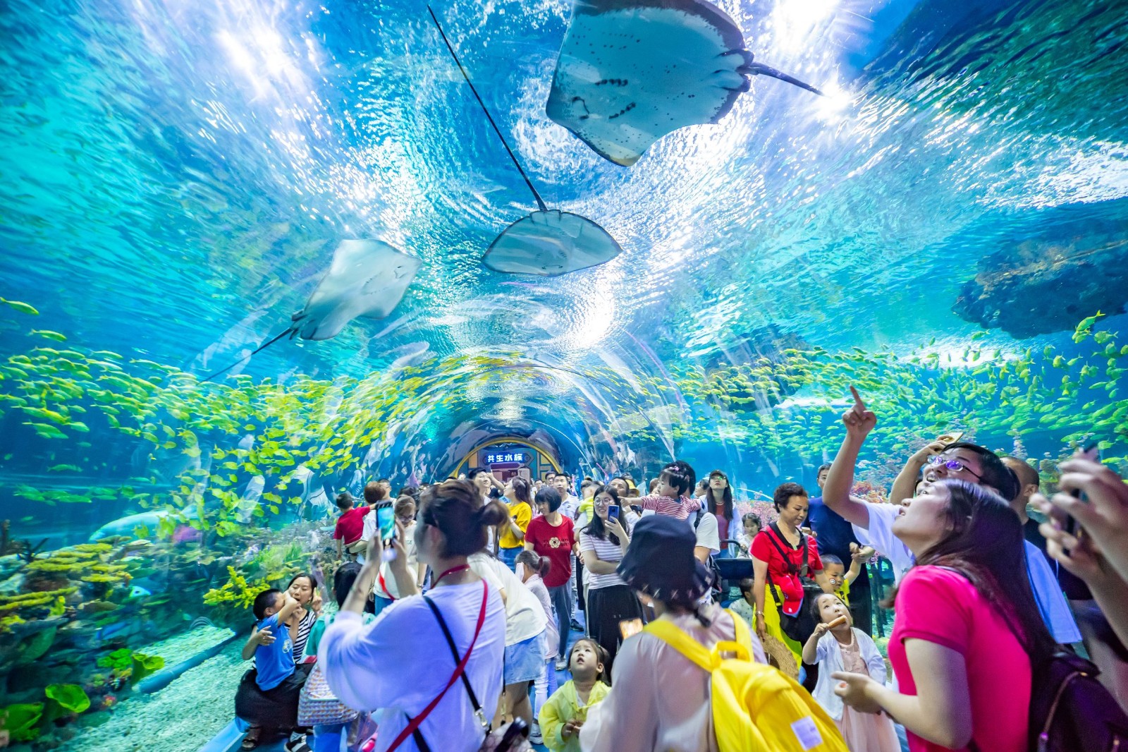 Shanghai Haichang Ocean Park